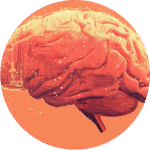 eine dekorative Abbildung in orangetönen, die ein menschliches Gehirn zeigt umgeben von Datenströmen